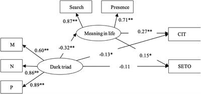 Meaning in life as a mediator of dark triad with confidence in treatment and subjective evaluation of treatment outcome among male drug abstainers